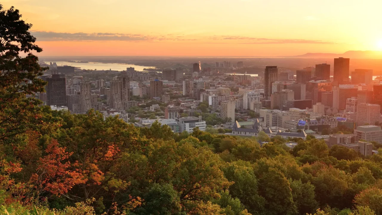 montreal sunrise viewed from mont royal with city skyline in