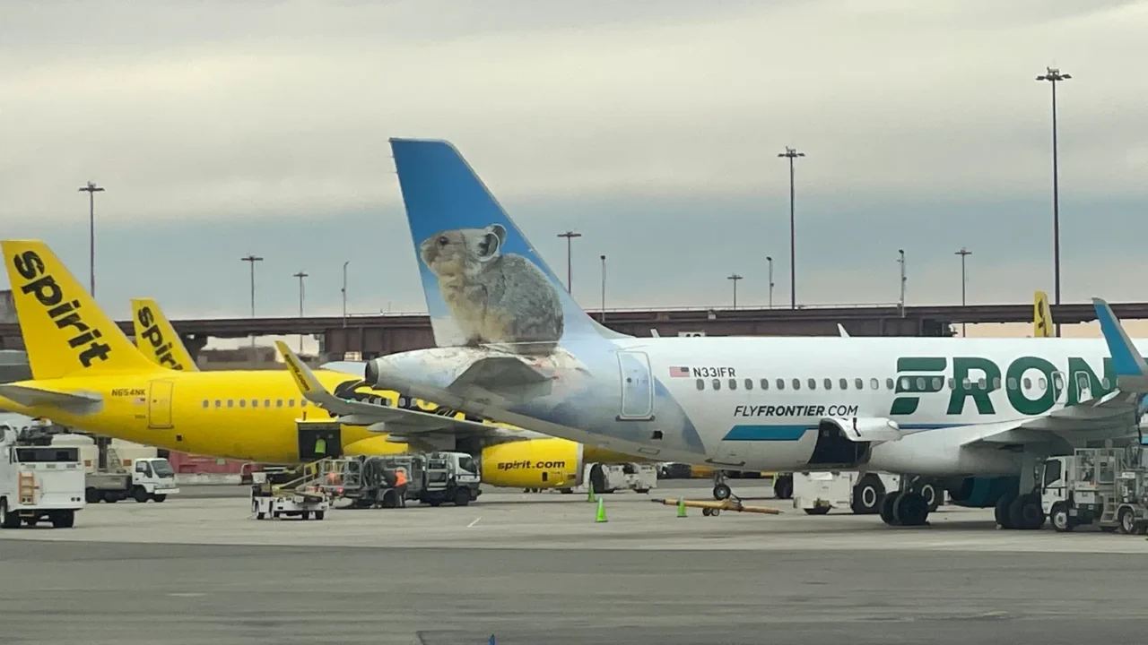 newark nj  jan 3 spirit airlines  frontier airlines