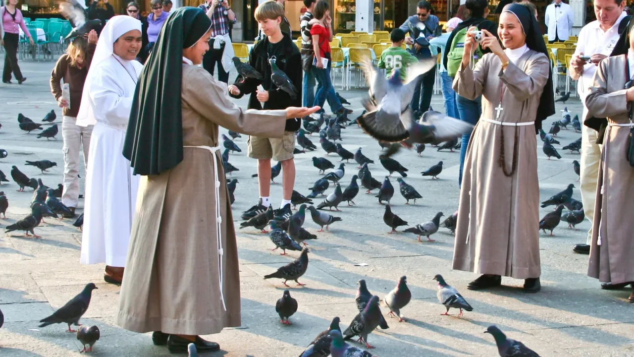 nons on san marco square feed large flock of pigeons