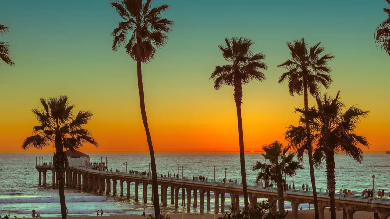 palm trees on manhattan beach at sunset los angeles california
