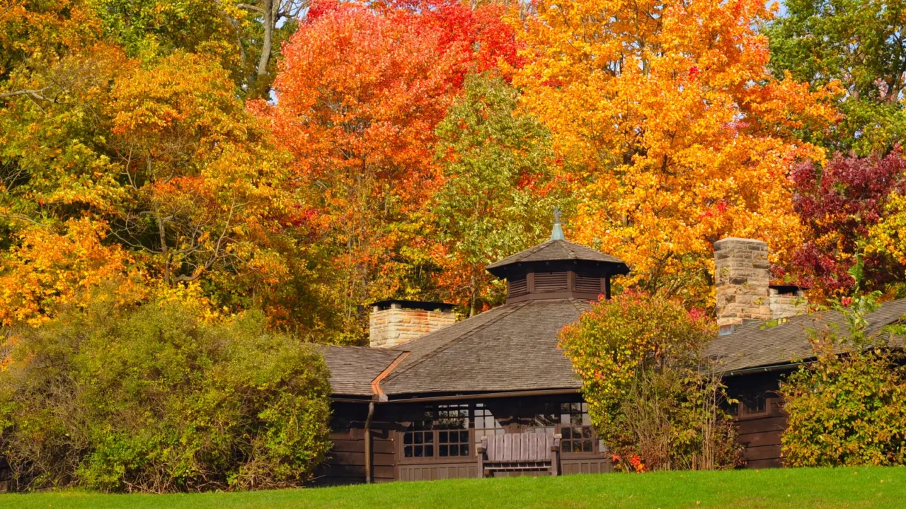 park shelter in autumn