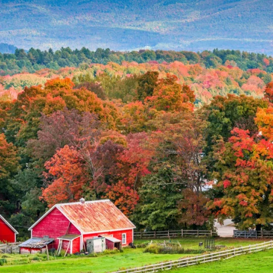 How Gen-Z is redefining fall travel right now