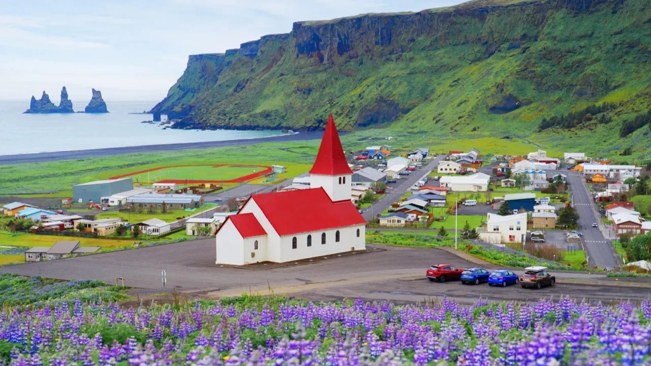 reyniskirkja church with lupin flowers in vik town in summer