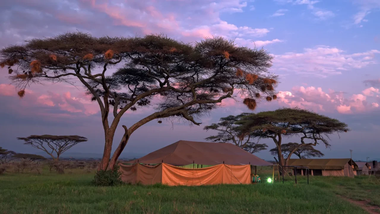 safari tented camp in savannah