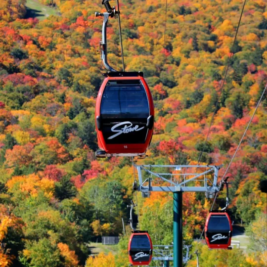 Planning a New England foliage trip? This Vermont town stands out as truly unique