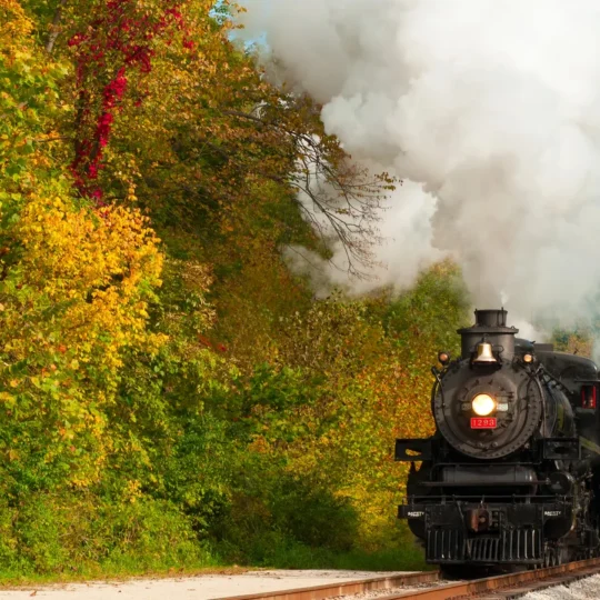 Scenic train journeys that showcase autumn colors