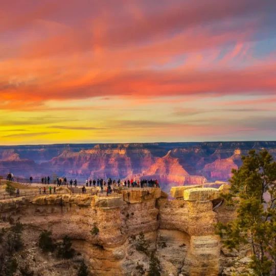 U.S. national parks preparing for record visitors this year