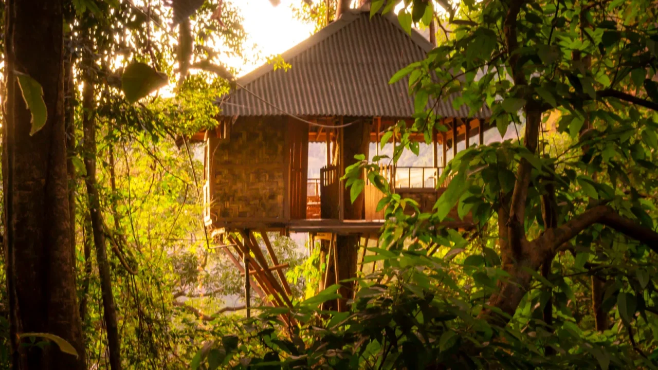 sunset picture of a wooden tree house in the jungle