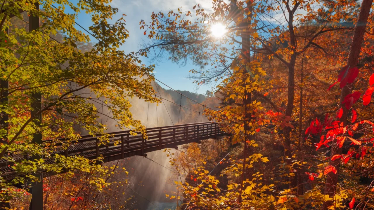Tallulah Falls, Georgia, USA overlooking Tallulah Gorge in the autumn season.