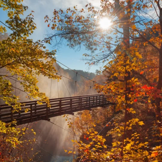 16 unforgettable fall trips you must take across the South