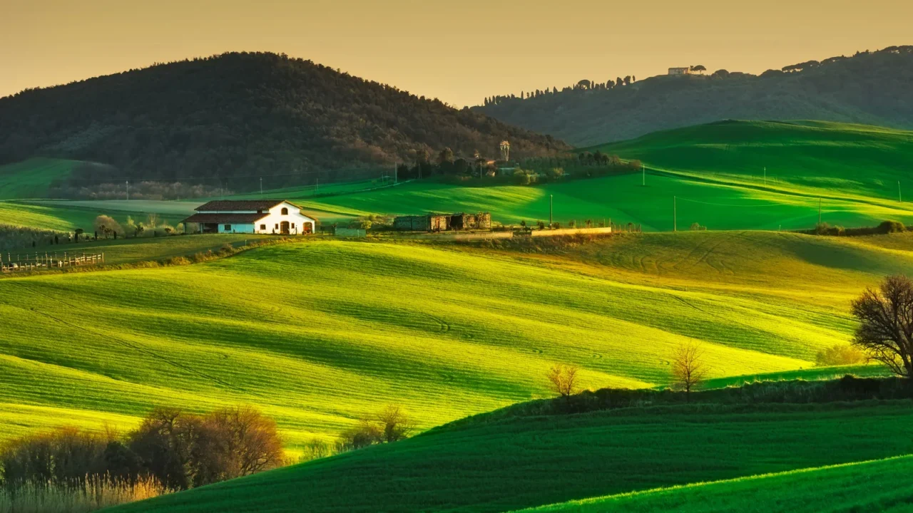 trees and farmland near volterra rolling hills on sunset rural