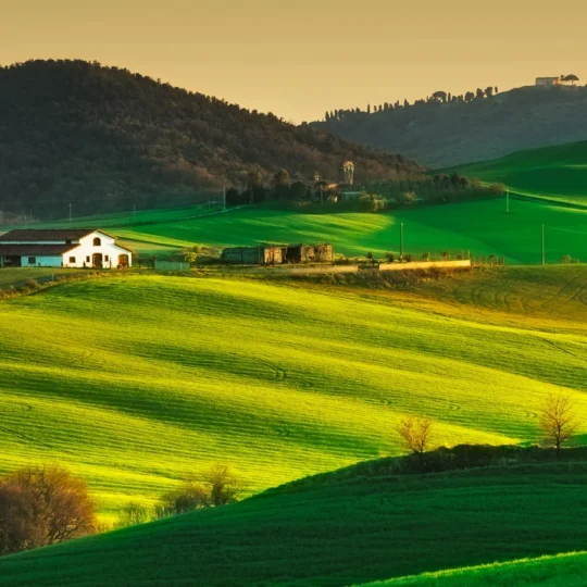 Could a farm stay be the most luxurios vacation in 2025?