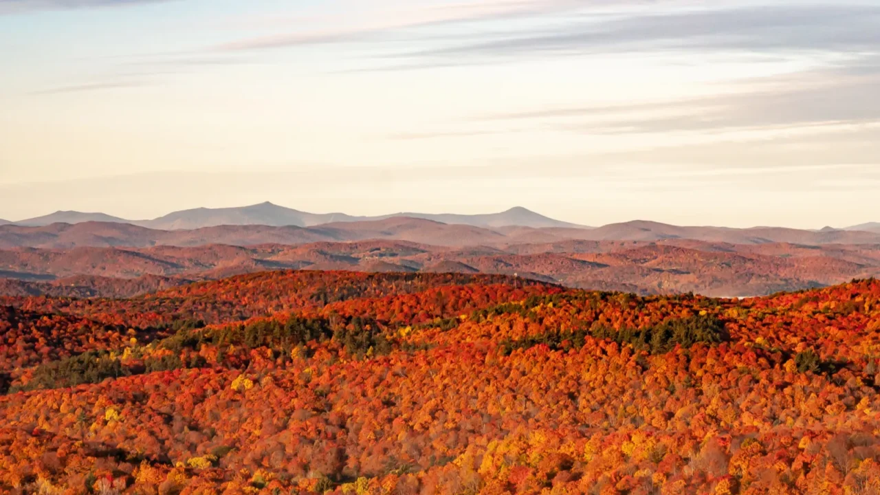 view from gile mountain fire tower during autumn