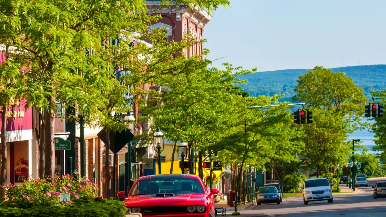view from petoskey