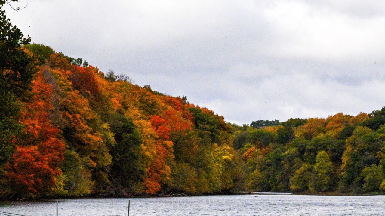 Fall Foliage at Backbone State Park, Iowa.