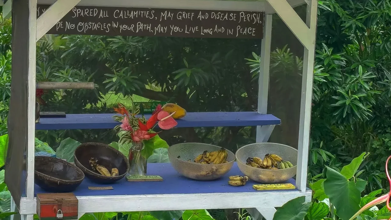 a variety of freshly cut flowers and fruit for sale