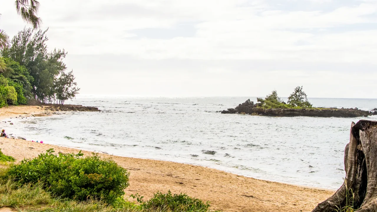absolutely amazing beautiful golden beach by the pacific ocean at