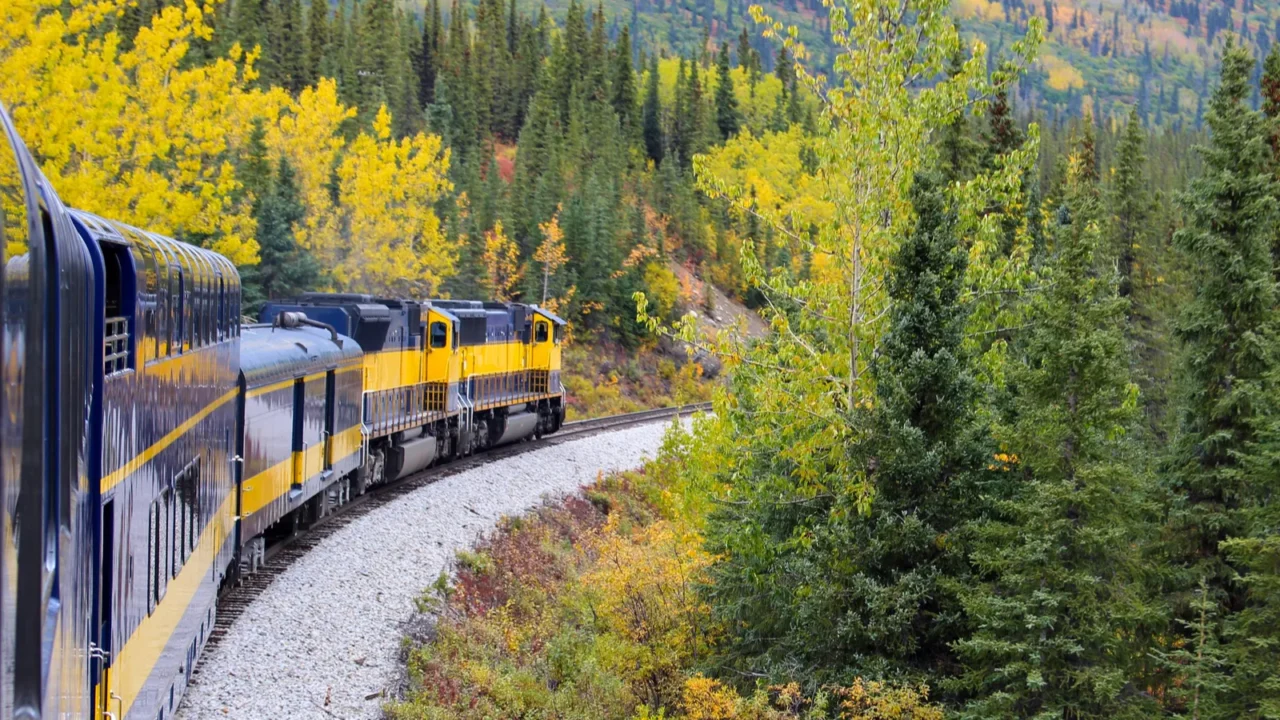 alaska railroad train from talkeetna to denali in an autumn