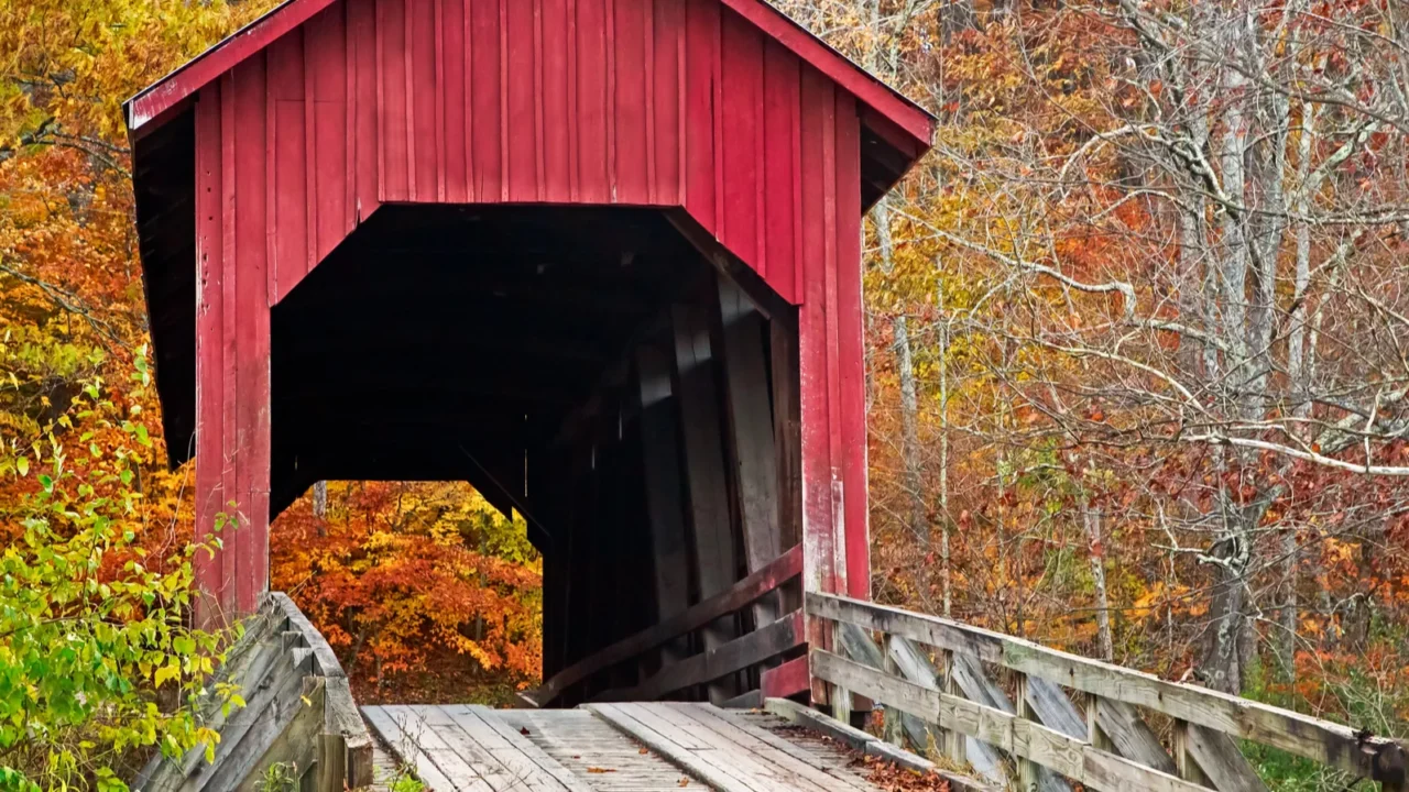 bean blossom covered bridge in fall