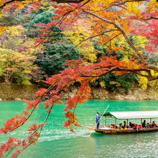 Kyoto hikes tourist tax by 900% starting in 2026,would you still visit?