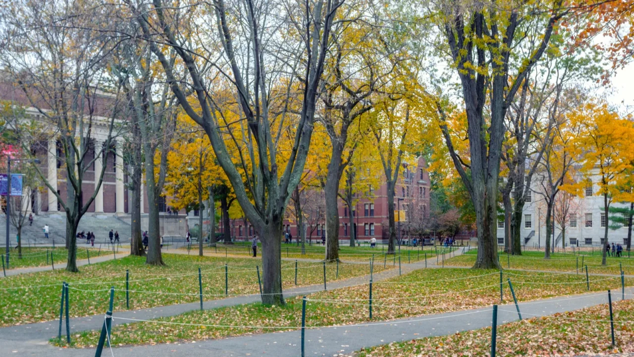 boston usa october 2015 harward yard in fall season