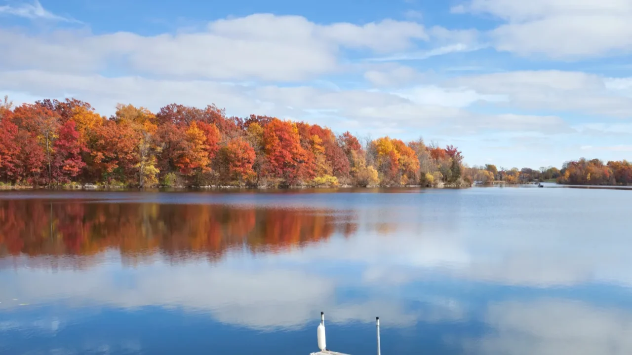 calm minnesota lake with a dock and trees in full