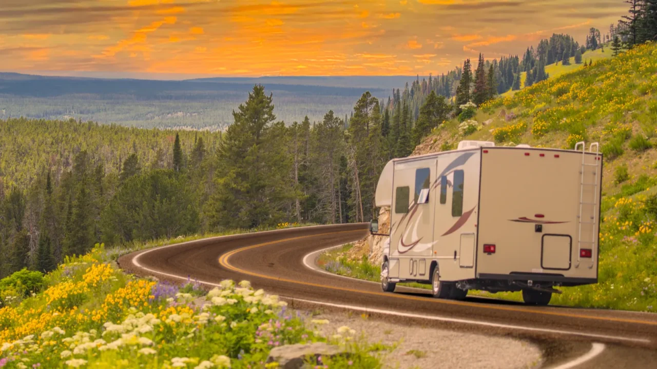 camper driving down road in the beautiful countryside among pine