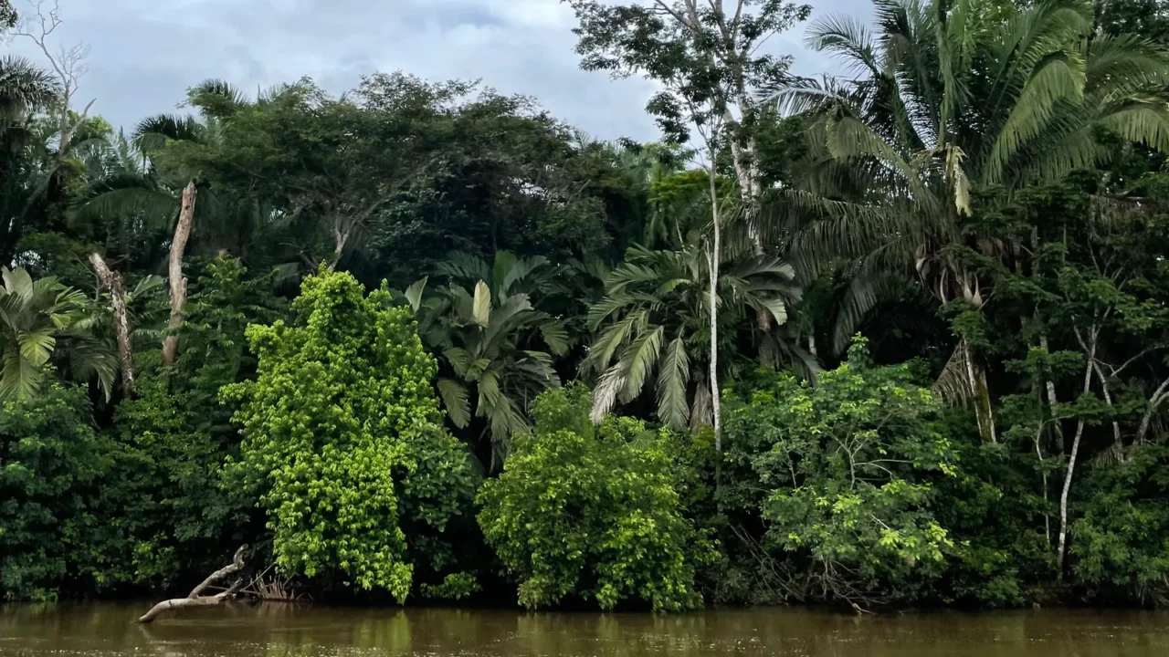 cano negro wildlife refuge is lying very close to the