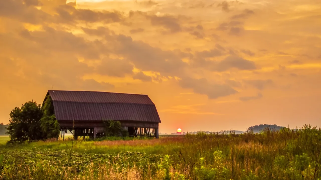 country sunset