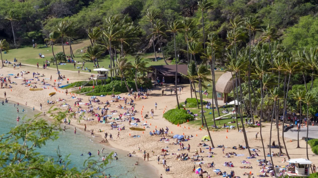 crowd of tourists at hanauma bay beach on the island
