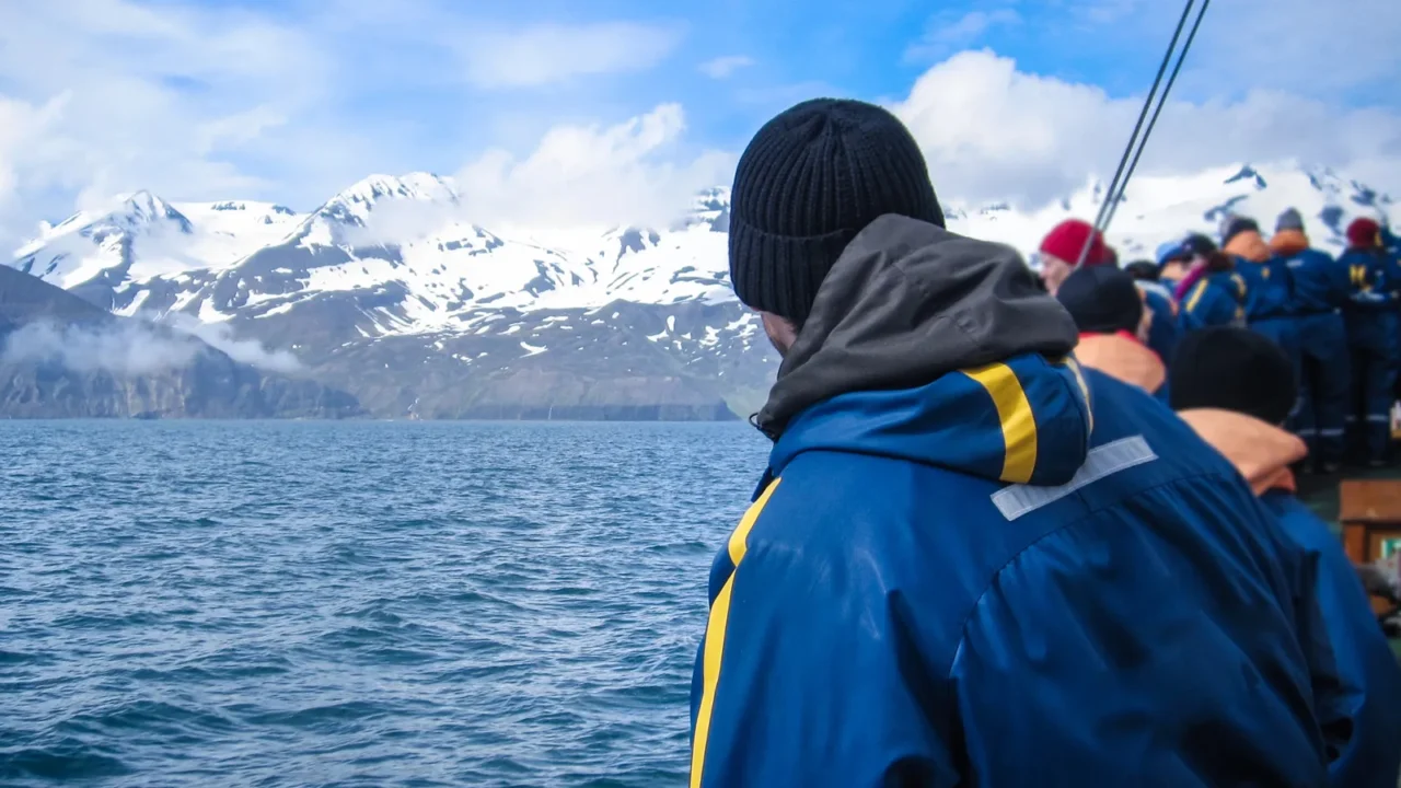 ecotourism and ecofriendly ecofriendly whale watching tour in iceland