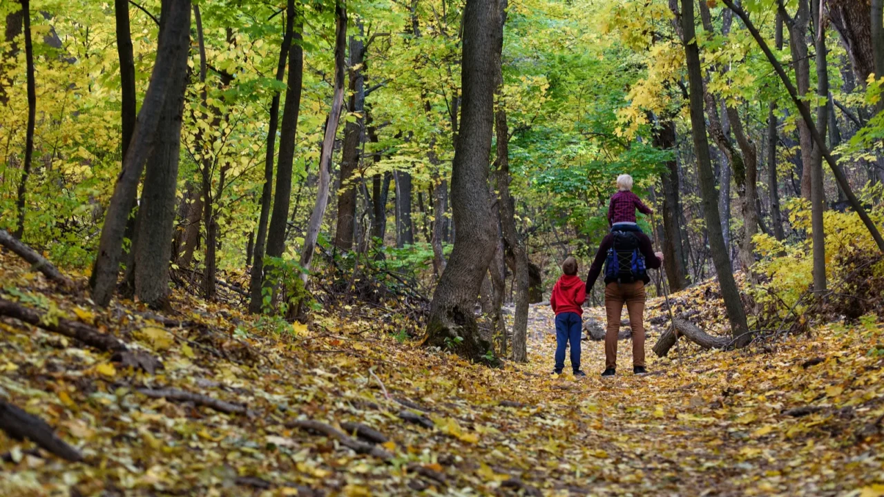 father and two sons walking in the autumn forest younger