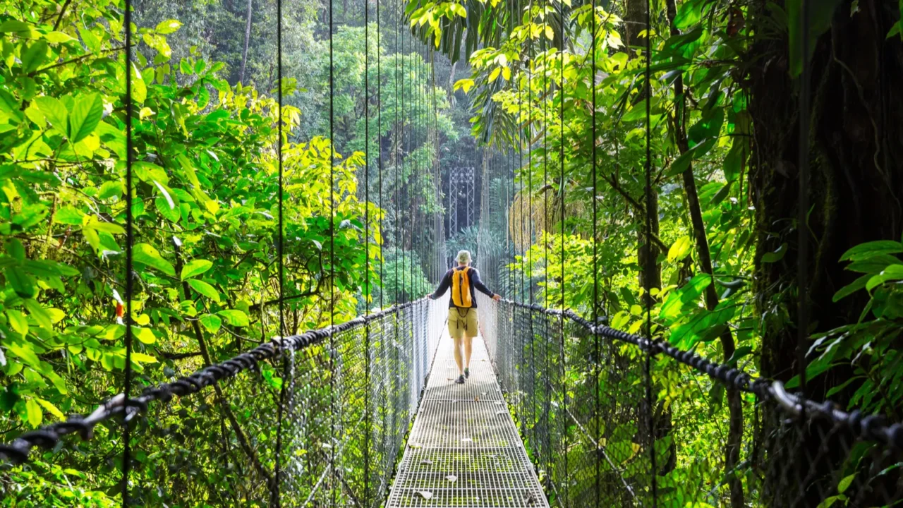 hiking in green tropical jungle costa rica central america