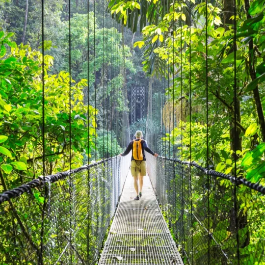 Why Intrepid is ditching offsets for real impact