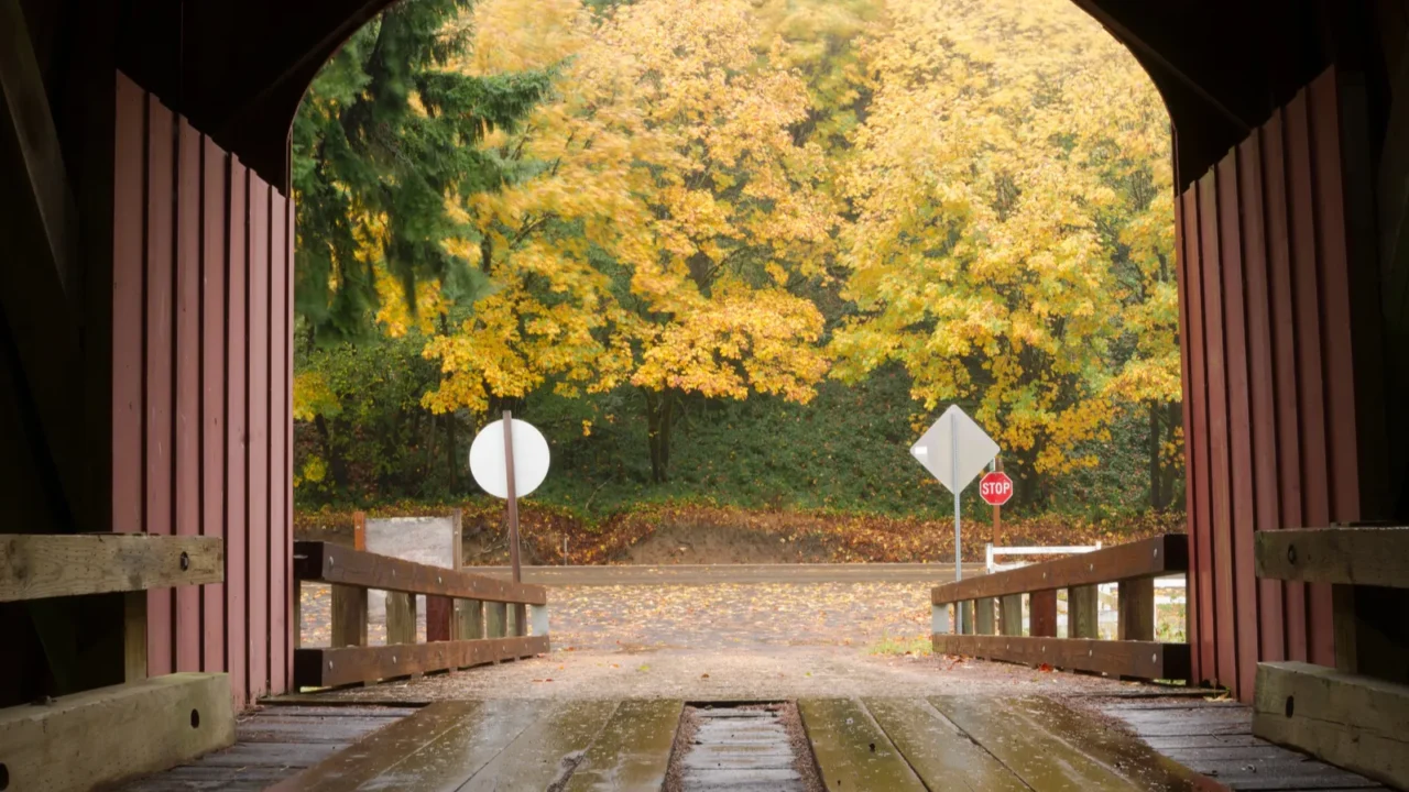 inside covered bridge fall color autumn leaves
