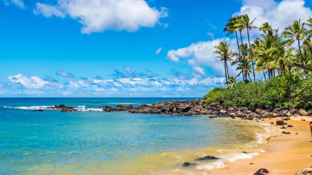 laniakea beach turtle beach on the north shore oahu hawaii