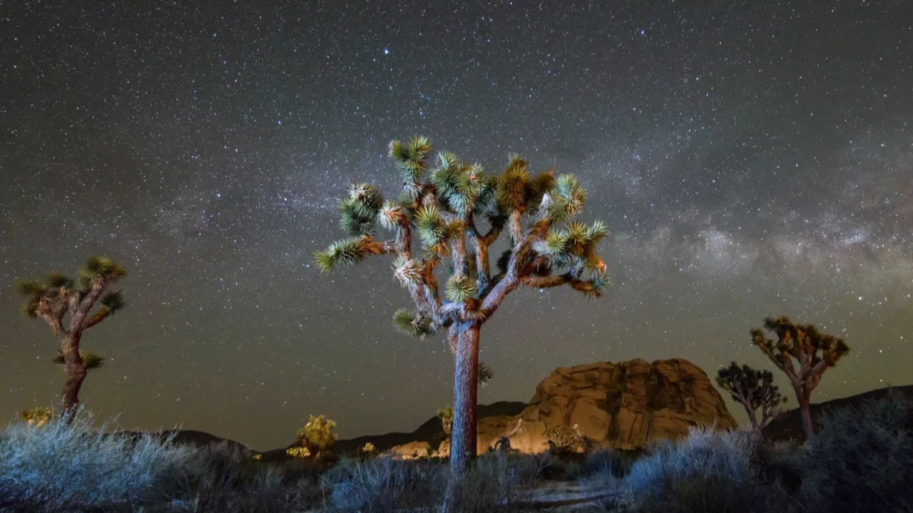 milky way galaxy at night in joshua tree national park