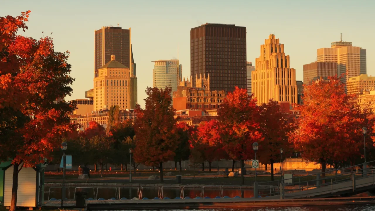 montreal city
