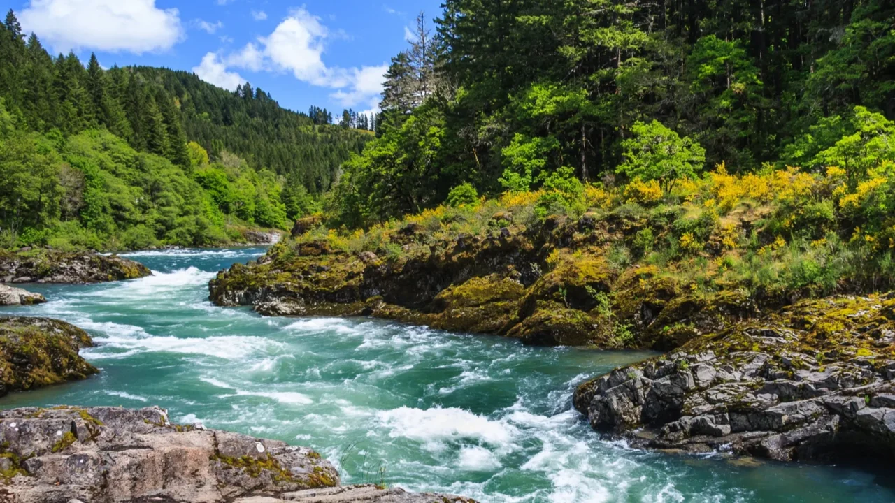 mountain river and forest in north cascades national park washington