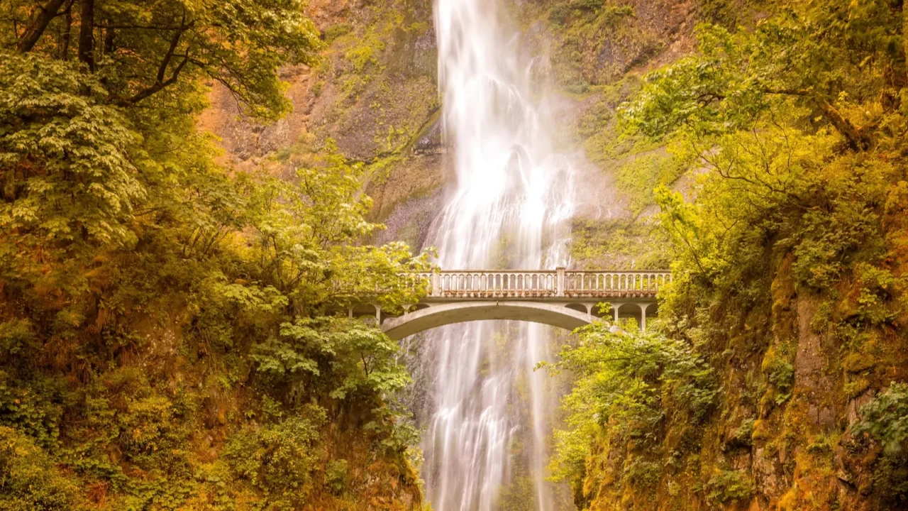 multnomah falls is a waterfall located on multnomah creek in