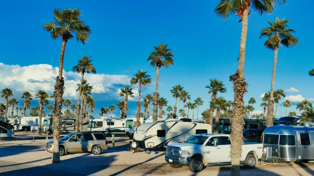 rv park with tall palm trees casting long shadows in