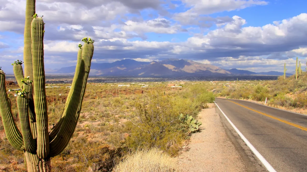 saguaro national park