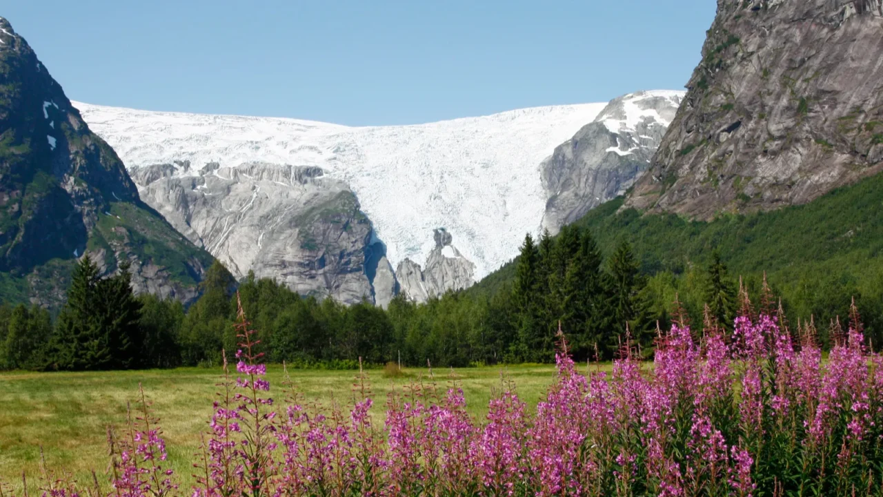 scenic landscape near the bergsetbreen glacier in norway where rugged
