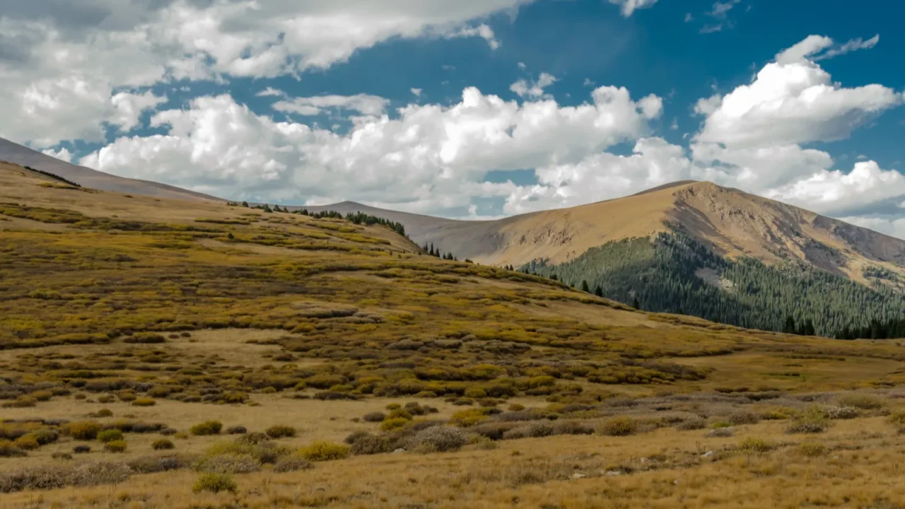slope of colorado mountains in early fall