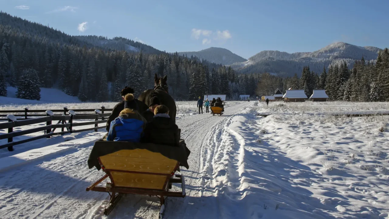 tatra mountains poland december 16 2018 horse sleigh ride with