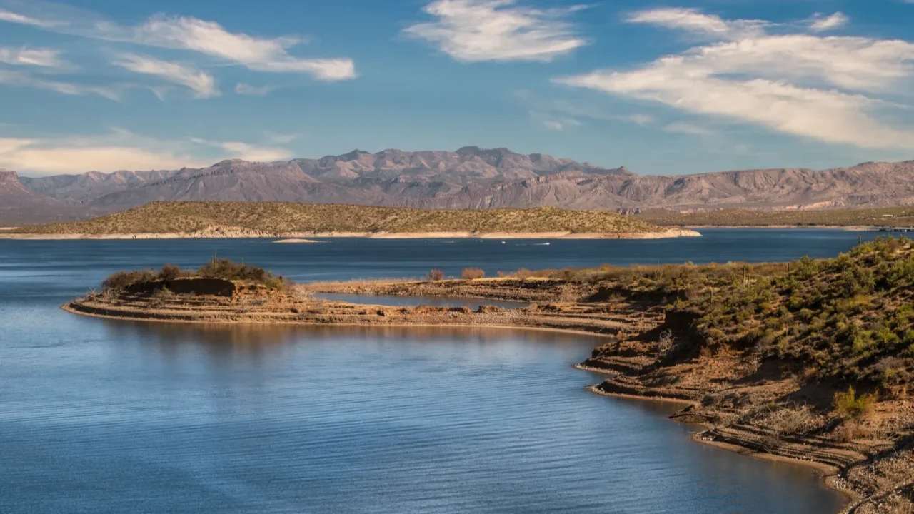 the roosevelt lake shoreline in the tonto national forrest near