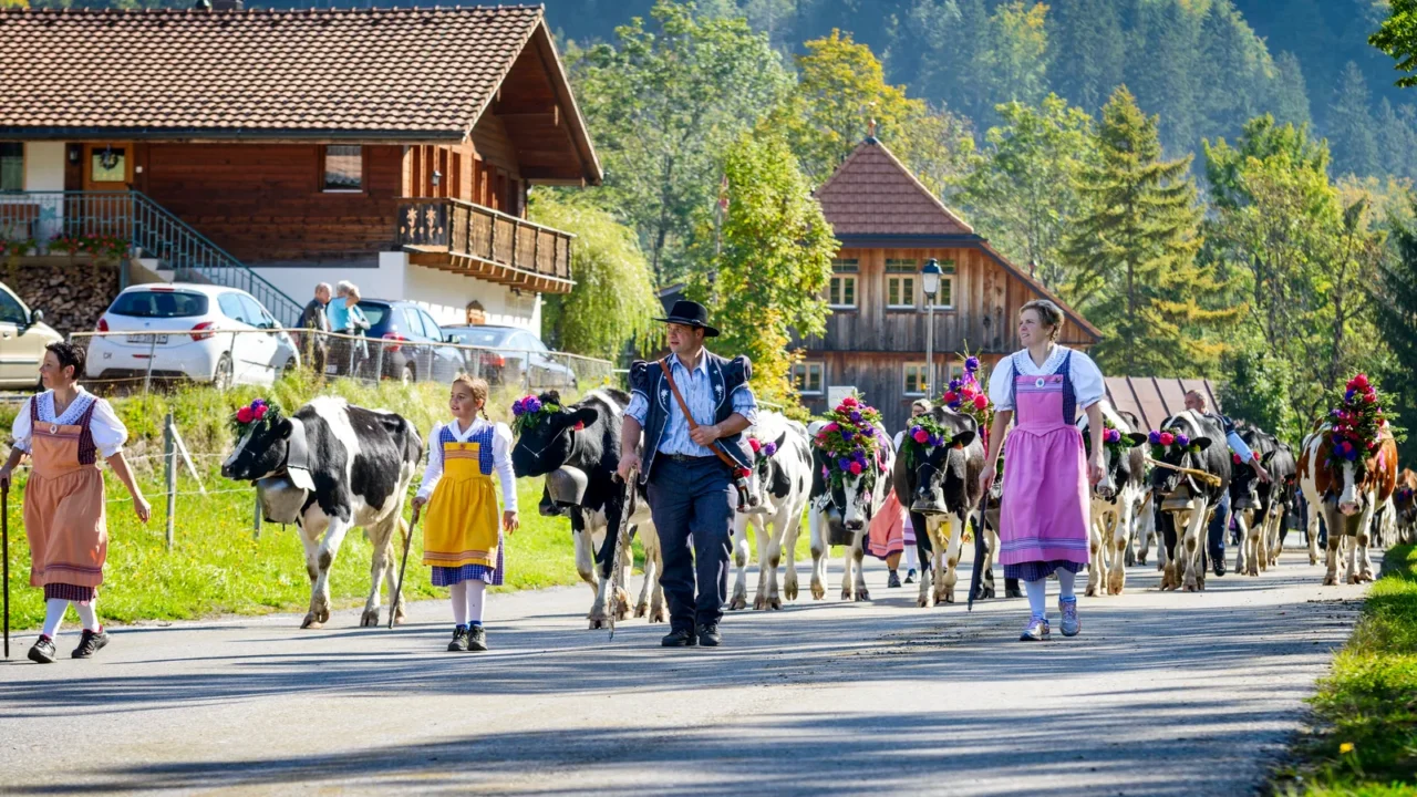 transhumance event in charmey