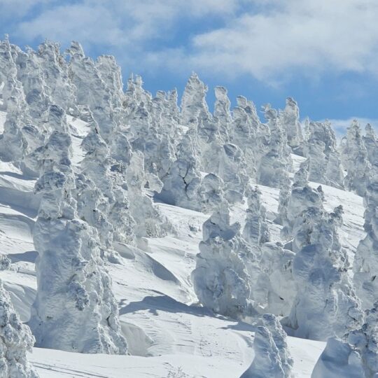 Aomori in winter is Japan’s ultimate snowy escape