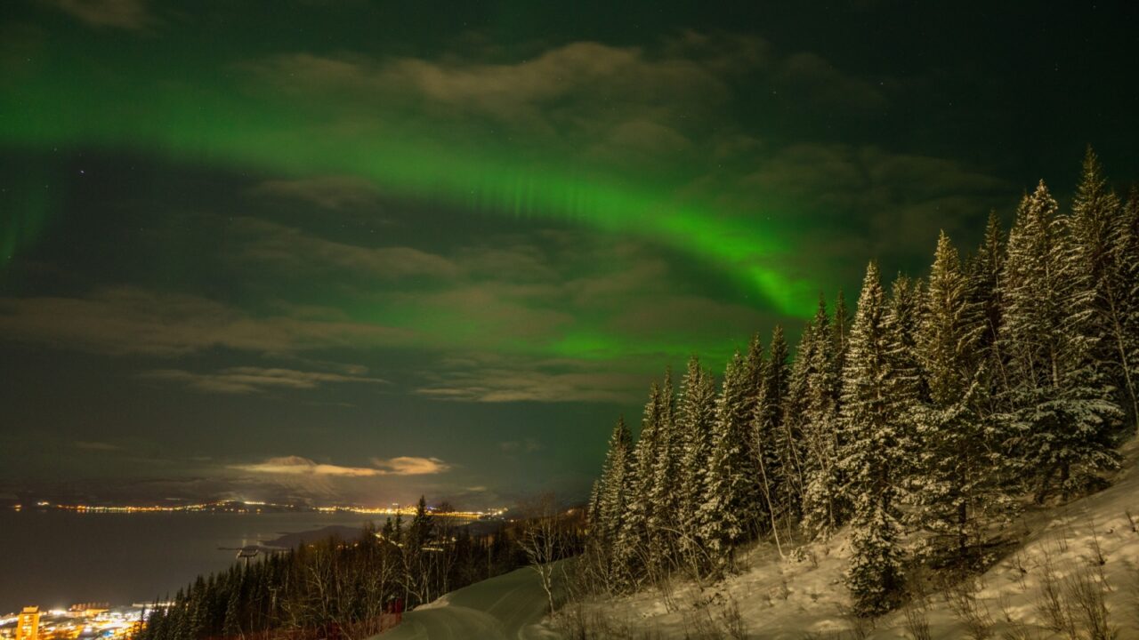 Northern lights above the city - Narvik, 2025, Norway