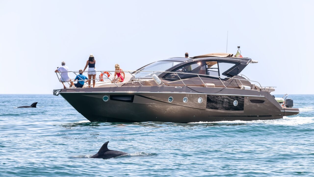 People aboard a luxury yacht watching dolphins, Lagos, Algarve, Portugal